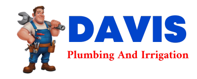 Trusted plumber in VADITO